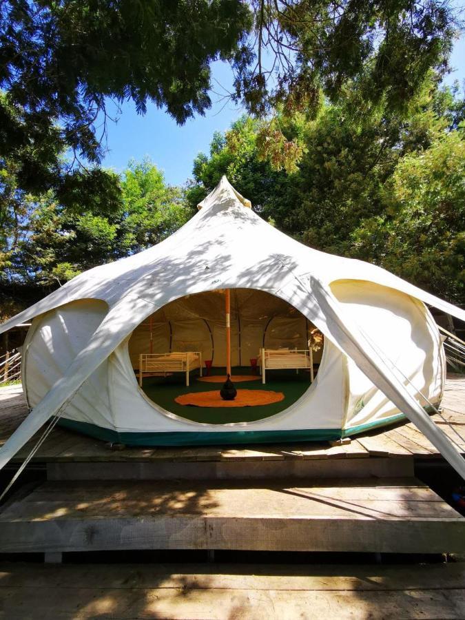 Arambha Ecovillage Farmstay Tabua  Exteriér fotografie