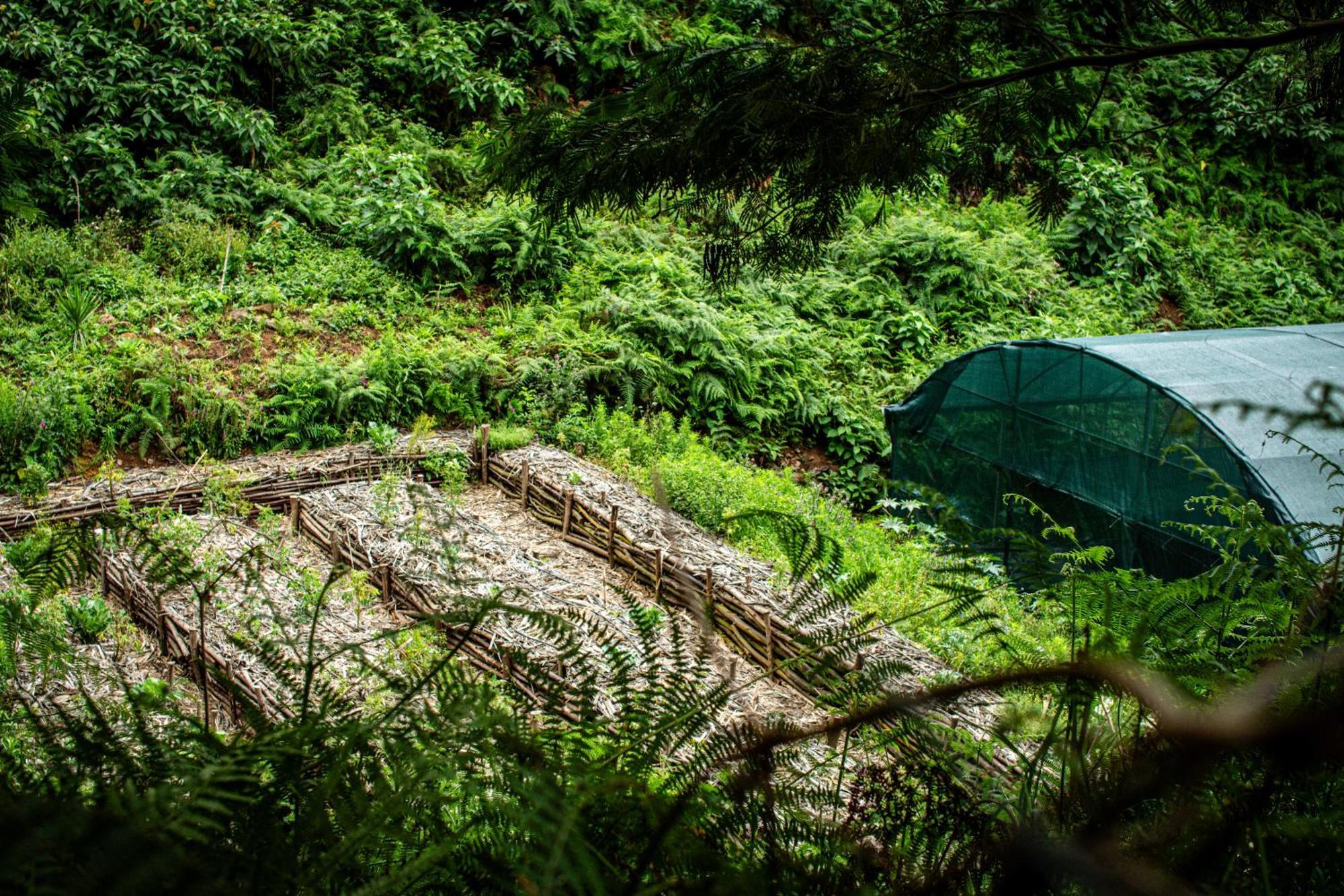 Arambha Ecovillage Farmstay Tabua  Exteriér fotografie